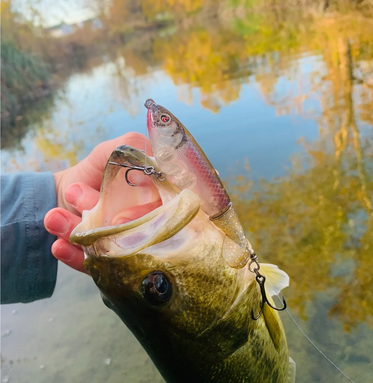 A hand holds a fish with its mouth open.